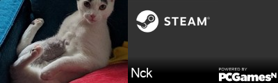 Nck Steam Signature