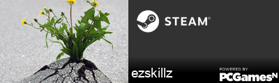 ezskillz Steam Signature
