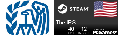The IRS Steam Signature