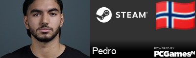 Pedro Steam Signature
