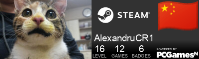 AlexandruCR1 Steam Signature