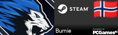 Burnie Steam Signature