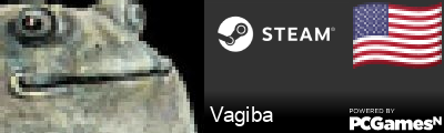 Vagiba Steam Signature