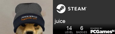 juice Steam Signature