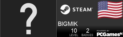 BIGMIK Steam Signature