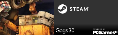 Gags30 Steam Signature