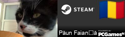 Păun Faianță Steam Signature