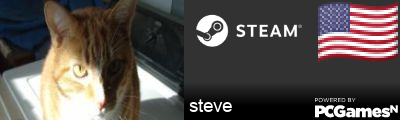 steve Steam Signature