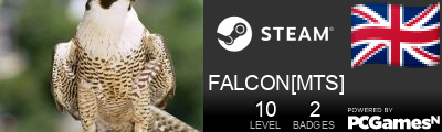 FALCON[MTS] Steam Signature