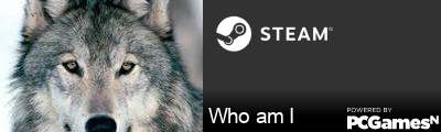 Who am I Steam Signature