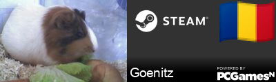 Goenitz Steam Signature
