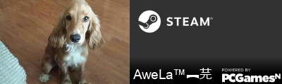 AweLa™︻芫 Steam Signature
