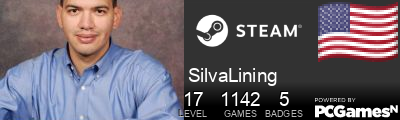 SilvaLining Steam Signature