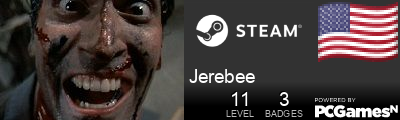 Jerebee Steam Signature