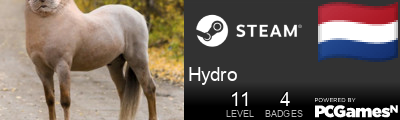 Hydro Steam Signature
