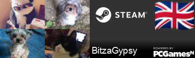 BitzaGypsy Steam Signature