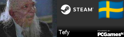 Tefy Steam Signature