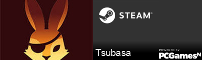Tsubasa Steam Signature