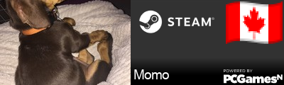 Momo Steam Signature