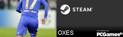 OXES Steam Signature