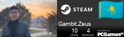 Gambit.Zeus Steam Signature