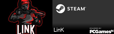 LinK Steam Signature