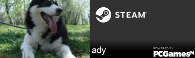 ady Steam Signature