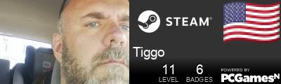 Tiggo Steam Signature