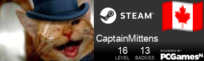 CaptainMittens Steam Signature