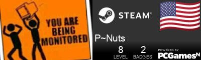 P~Nuts Steam Signature