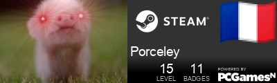 Porceley Steam Signature