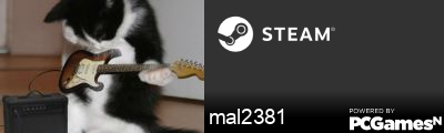 mal2381 Steam Signature
