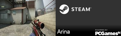Arina Steam Signature