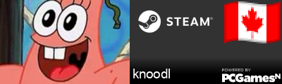 knoodl Steam Signature