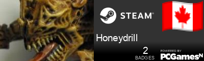 Honeydrill Steam Signature