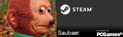Saubaer Steam Signature