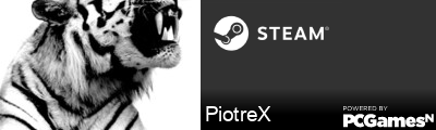PiotreX Steam Signature