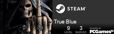 True Blue Steam Signature