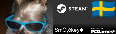 SmÒ,ókey♠ Steam Signature