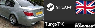 TungsT10 Steam Signature