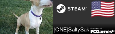 |ONE|SaltySak Steam Signature