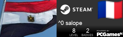 ^0 salope Steam Signature