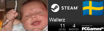 Wallerz Steam Signature