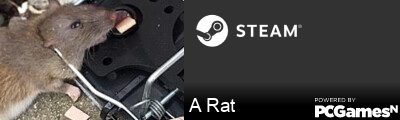 A Rat Steam Signature