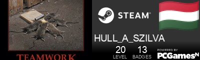 HULL_A_SZILVA Steam Signature