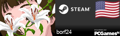 borf24 Steam Signature