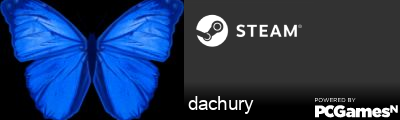 dachury Steam Signature