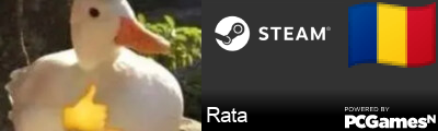 Rata Steam Signature