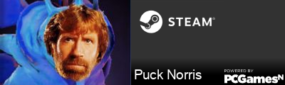 Puck Norris Steam Signature