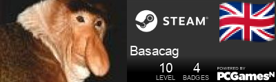 Basacag Steam Signature